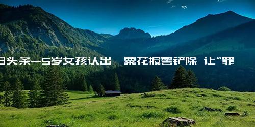 今日头条-5岁女孩认出罂粟花报警铲除 让“罪恶之花”无处绽放!